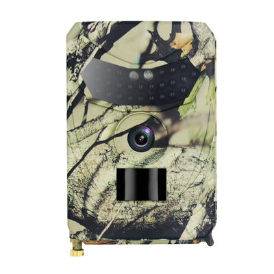 Tarjeta Hunter Trail Camera del TF