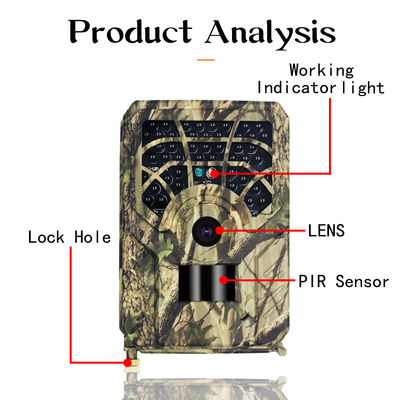 Tarjeta 720p del TF de la prenda impermeable de las RRPP 300A Hunter Trail Camera 30FPS IP54